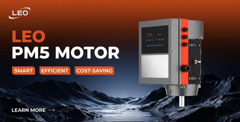 LEO PM5 Motor